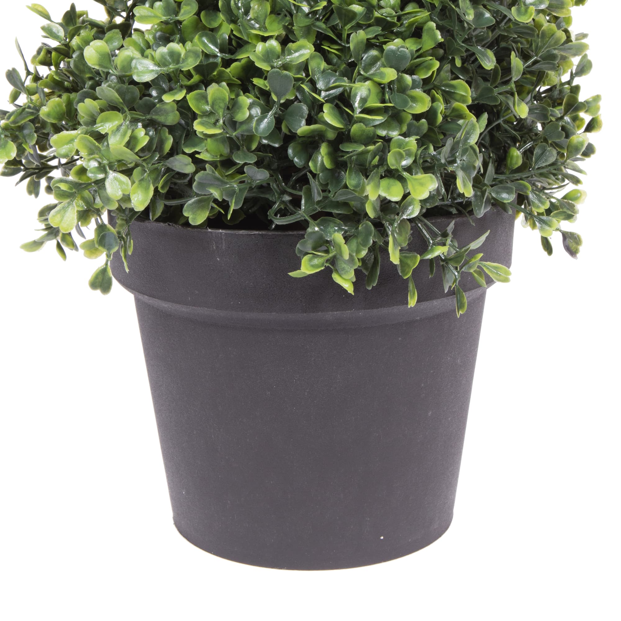 4ft. Potted Green Boxwood Spiral Tree